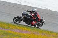 march-2010;motorbikes;no-limits;peter-wileman-photography;portimao;portugal;trackday;trackday-digital-images