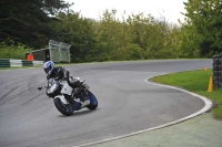 A GROUP BLUE/WHITE BIKES