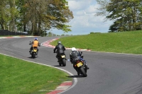 cadwell-park;cadwell-park-photographs;cadwell-trackday-photographs;enduro-digital-images;event-digital-images;eventdigitalimages;hopp-rider-training;peter-wileman-photography;racing-digital-images;trackday-digital-images;trackday-photos