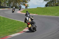 cadwell-park;cadwell-park-photographs;cadwell-trackday-photographs;enduro-digital-images;event-digital-images;eventdigitalimages;hopp-rider-training;peter-wileman-photography;racing-digital-images;trackday-digital-images;trackday-photos