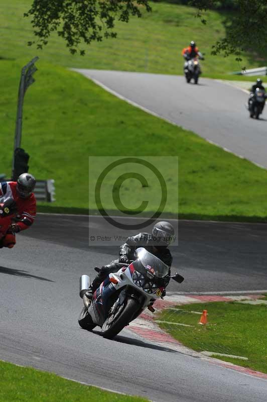 cadwell park;cadwell park photographs;cadwell trackday photographs;enduro digital images;event digital images;eventdigitalimages;hopp rider training;peter wileman photography;racing digital images;trackday digital images;trackday photos