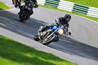 cadwell-park;cadwell-park-photographs;cadwell-trackday-photographs;enduro-digital-images;event-digital-images;eventdigitalimages;hopp-rider-training;peter-wileman-photography;racing-digital-images;trackday-digital-images;trackday-photos