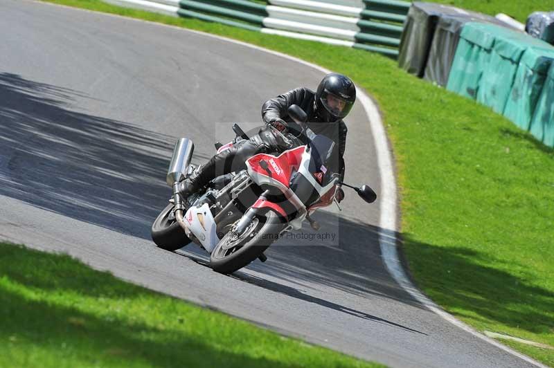 cadwell park;cadwell park photographs;cadwell trackday photographs;enduro digital images;event digital images;eventdigitalimages;hopp rider training;peter wileman photography;racing digital images;trackday digital images;trackday photos