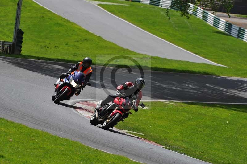 cadwell park;cadwell park photographs;cadwell trackday photographs;enduro digital images;event digital images;eventdigitalimages;hopp rider training;peter wileman photography;racing digital images;trackday digital images;trackday photos