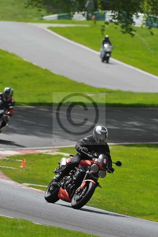 cadwell park;cadwell park photographs;cadwell trackday photographs;enduro digital images;event digital images;eventdigitalimages;hopp rider training;peter wileman photography;racing digital images;trackday digital images;trackday photos