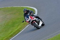 cadwell-park;cadwell-park-photographs;cadwell-trackday-photographs;enduro-digital-images;event-digital-images;eventdigitalimages;hopp-rider-training;peter-wileman-photography;racing-digital-images;trackday-digital-images;trackday-photos