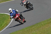 cadwell-park;cadwell-park-photographs;cadwell-trackday-photographs;enduro-digital-images;event-digital-images;eventdigitalimages;hopp-rider-training;peter-wileman-photography;racing-digital-images;trackday-digital-images;trackday-photos