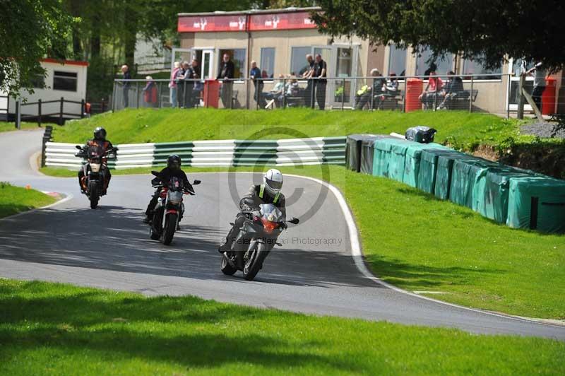 cadwell park;cadwell park photographs;cadwell trackday photographs;enduro digital images;event digital images;eventdigitalimages;hopp rider training;peter wileman photography;racing digital images;trackday digital images;trackday photos