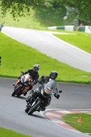 cadwell-park;cadwell-park-photographs;cadwell-trackday-photographs;enduro-digital-images;event-digital-images;eventdigitalimages;hopp-rider-training;peter-wileman-photography;racing-digital-images;trackday-digital-images;trackday-photos