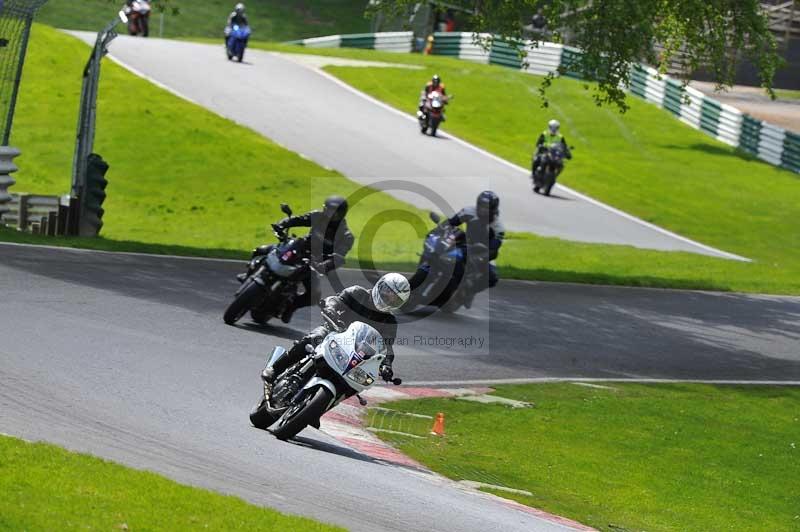 cadwell park;cadwell park photographs;cadwell trackday photographs;enduro digital images;event digital images;eventdigitalimages;hopp rider training;peter wileman photography;racing digital images;trackday digital images;trackday photos