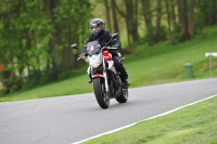 cadwell-park;cadwell-park-photographs;cadwell-trackday-photographs;enduro-digital-images;event-digital-images;eventdigitalimages;hopp-rider-training;peter-wileman-photography;racing-digital-images;trackday-digital-images;trackday-photos