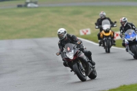 cadwell-park;cadwell-park-photographs;cadwell-trackday-photographs;enduro-digital-images;event-digital-images;eventdigitalimages;hopp-rider-training;peter-wileman-photography;racing-digital-images;trackday-digital-images;trackday-photos