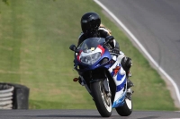 Motorcycle-action-photographs;Trackday-digital-images;brands;brands-hatch-photographs;event-digital-images;eventdigitalimages;motor-racing-london;no-limits-trackday;peter-wileman-photography;trackday;trackday-photos