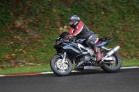 Motorcycle-action-photographs;Trackday-digital-images;cadwell;cadwell-park-photographs;event-digital-images;eventdigitalimages;motor-racing-louth-lincolnshire;no-limits-trackdays;peter-wileman-photography;trackday;trackday-photos