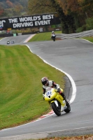 Motorcycle-action-photographs;Trackday-digital-images;event-digital-images;eventdigitalimages;no-limits-trackday;oulton-park;oulton-park-circuit-cheshire;oulton-park-photographs;peter-wileman-photography;trackday;trackday-photos