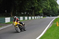 Motorcycle-action-photographs;Trackday-digital-images;cadwell;cadwell-park-photographs;event-digital-images;eventdigitalimages;motor-racing-louth-lincolnshire;no-limits-trackdays;peter-wileman-photography;trackday;trackday-photos