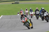 Motorcycle-action-photographs;Trackday-digital-images;cadwell;cadwell-park-photographs;event-digital-images;eventdigitalimages;motor-racing-louth-lincolnshire;no-limits-trackdays;peter-wileman-photography;trackday;trackday-photos