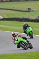 Motorcycle-action-photographs;Trackday-digital-images;cadwell;cadwell-park-photographs;event-digital-images;eventdigitalimages;motor-racing-louth-lincolnshire;no-limits-trackdays;peter-wileman-photography;trackday;trackday-photos