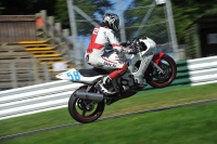 Motorcycle-action-photographs;Trackday-digital-images;cadwell;cadwell-park-photographs;event-digital-images;eventdigitalimages;motor-racing-louth-lincolnshire;no-limits-trackdays;peter-wileman-photography;trackday;trackday-photos