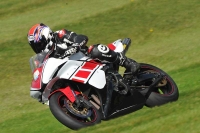 Motorcycle-action-photographs;Trackday-digital-images;cadwell;cadwell-park-photographs;event-digital-images;eventdigitalimages;motor-racing-louth-lincolnshire;no-limits-trackdays;peter-wileman-photography;trackday;trackday-photos