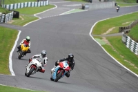 Motorcycle-action-photographs;Trackday-digital-images;cadwell;cadwell-park-photographs;event-digital-images;eventdigitalimages;motor-racing-louth-lincolnshire;no-limits-trackdays;peter-wileman-photography;trackday;trackday-photos