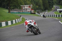 Motorcycle-action-photographs;Trackday-digital-images;cadwell;cadwell-park-photographs;event-digital-images;eventdigitalimages;motor-racing-louth-lincolnshire;no-limits-trackdays;peter-wileman-photography;trackday;trackday-photos