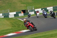 Motorcycle-action-photographs;Trackday-digital-images;cadwell;cadwell-park-photographs;event-digital-images;eventdigitalimages;motor-racing-louth-lincolnshire;no-limits-trackdays;peter-wileman-photography;trackday;trackday-photos