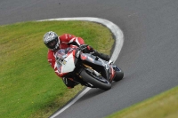 Motorcycle-action-photographs;Trackday-digital-images;cadwell;cadwell-park-photographs;event-digital-images;eventdigitalimages;motor-racing-louth-lincolnshire;no-limits-trackdays;peter-wileman-photography;trackday;trackday-photos