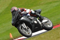 Motorcycle-action-photographs;Trackday-digital-images;cadwell;cadwell-park-photographs;event-digital-images;eventdigitalimages;motor-racing-louth-lincolnshire;no-limits-trackdays;peter-wileman-photography;trackday;trackday-photos