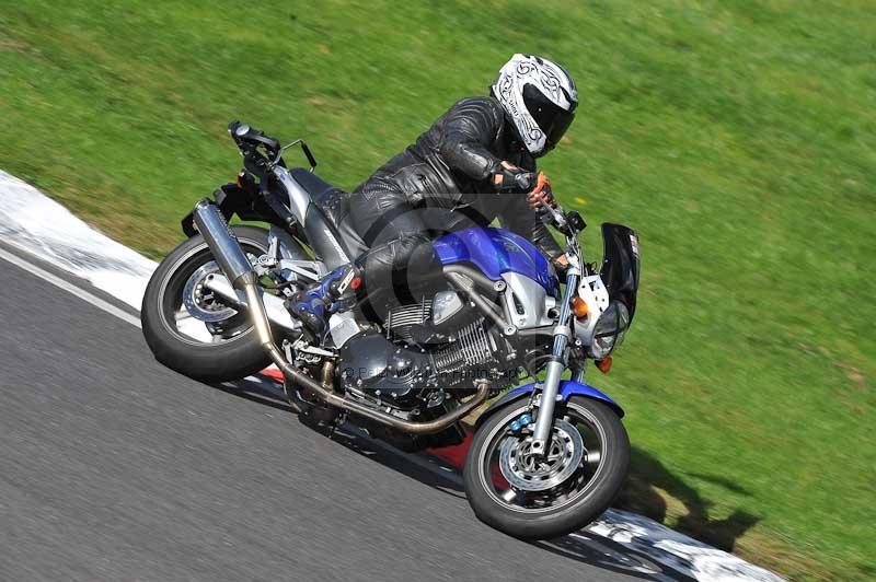 Motorcycle action photographs;Trackday digital images;cadwell;cadwell park photographs;event digital images;eventdigitalimages;motor racing louth lincolnshire;no limits trackdays;peter wileman photography;trackday;trackday photos