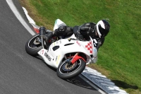 Motorcycle-action-photographs;Trackday-digital-images;cadwell;cadwell-park-photographs;event-digital-images;eventdigitalimages;motor-racing-louth-lincolnshire;no-limits-trackdays;peter-wileman-photography;trackday;trackday-photos