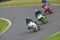 Motorcycle-action-photographs;Trackday-digital-images;cadwell;cadwell-park-photographs;event-digital-images;eventdigitalimages;motor-racing-louth-lincolnshire;no-limits-trackdays;peter-wileman-photography;trackday;trackday-photos