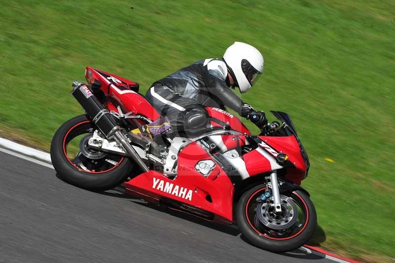 Motorcycle action photographs;Trackday digital images;cadwell;cadwell park photographs;event digital images;eventdigitalimages;motor racing louth lincolnshire;no limits trackdays;peter wileman photography;trackday;trackday photos