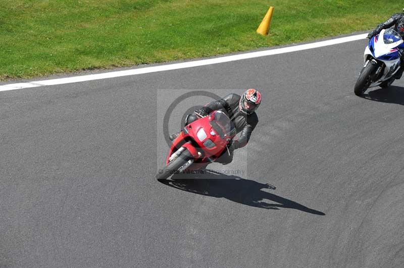 Motorcycle action photographs;Trackday digital images;cadwell;cadwell park photographs;event digital images;eventdigitalimages;motor racing louth lincolnshire;no limits trackdays;peter wileman photography;trackday;trackday photos