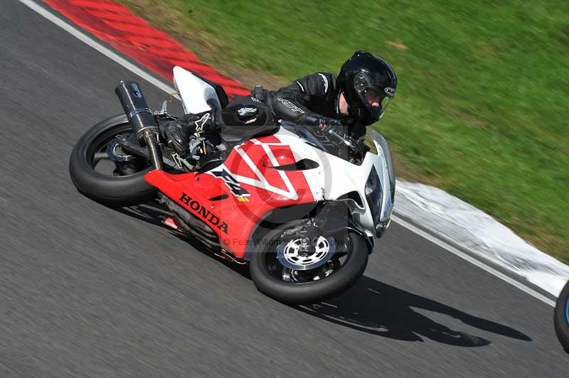 Motorcycle action photographs;Trackday digital images;cadwell;cadwell park photographs;event digital images;eventdigitalimages;motor racing louth lincolnshire;no limits trackdays;peter wileman photography;trackday;trackday photos