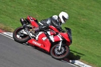 Motorcycle-action-photographs;Trackday-digital-images;cadwell;cadwell-park-photographs;event-digital-images;eventdigitalimages;motor-racing-louth-lincolnshire;no-limits-trackdays;peter-wileman-photography;trackday;trackday-photos