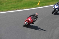 Motorcycle-action-photographs;Trackday-digital-images;cadwell;cadwell-park-photographs;event-digital-images;eventdigitalimages;motor-racing-louth-lincolnshire;no-limits-trackdays;peter-wileman-photography;trackday;trackday-photos