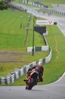 Motorcycle-action-photographs;Trackday-digital-images;cadwell;cadwell-park-photographs;event-digital-images;eventdigitalimages;motor-racing-louth-lincolnshire;no-limits-trackdays;peter-wileman-photography;trackday;trackday-photos