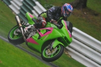 Motorcycle-action-photographs;Trackday-digital-images;cadwell;cadwell-park-photographs;event-digital-images;eventdigitalimages;motor-racing-louth-lincolnshire;no-limits-trackdays;peter-wileman-photography;trackday;trackday-photos