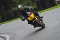 Motorcycle-action-photographs;Trackday-digital-images;cadwell;cadwell-park-photographs;event-digital-images;eventdigitalimages;motor-racing-louth-lincolnshire;no-limits-trackdays;peter-wileman-photography;trackday;trackday-photos