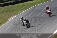 anglesey;brands-hatch;cadwell-park;croft;donington-park;enduro-digital-images;event-digital-images;eventdigitalimages;mallory;no-limits;oulton-park;peter-wileman-photography;racing-digital-images;silverstone;snetterton;trackday-digital-images;trackday-photos;vmcc-banbury-run;welsh-2-day-enduro