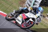 brands-hatch-photographs;brands-no-limits-trackday;cadwell-trackday-photographs;enduro-digital-images;event-digital-images;eventdigitalimages;no-limits-trackdays;peter-wileman-photography;racing-digital-images;trackday-digital-images;trackday-photos