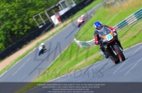 enduro-digital-images;event-digital-images;eventdigitalimages;mallory-park;mallory-park-photographs;mallory-park-trackday;mallory-park-trackday-photographs;no-limits-trackdays;peter-wileman-photography;racing-digital-images;trackday-digital-images;trackday-photos