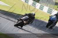 cadwell-no-limits-trackday;cadwell-park;cadwell-park-photographs;cadwell-trackday-photographs;enduro-digital-images;event-digital-images;eventdigitalimages;no-limits-trackdays;peter-wileman-photography;racing-digital-images;trackday-digital-images;trackday-photos