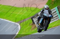 enduro-digital-images;event-digital-images;eventdigitalimages;no-limits-trackdays;oulton-no-limits-trackday;oulton-park-cheshire;oulton-trackday-photographs;peter-wileman-photography;racing-digital-images;trackday-digital-images;trackday-photos