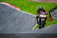 enduro-digital-images;event-digital-images;eventdigitalimages;no-limits-trackdays;oulton-no-limits-trackday;oulton-park-cheshire;oulton-trackday-photographs;peter-wileman-photography;racing-digital-images;trackday-digital-images;trackday-photos