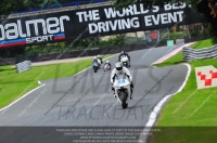 enduro-digital-images;event-digital-images;eventdigitalimages;no-limits-trackdays;oulton-no-limits-trackday;oulton-park-cheshire;oulton-trackday-photographs;peter-wileman-photography;racing-digital-images;trackday-digital-images;trackday-photos