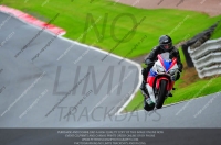 enduro-digital-images;event-digital-images;eventdigitalimages;no-limits-trackdays;oulton-no-limits-trackday;oulton-park-cheshire;oulton-trackday-photographs;peter-wileman-photography;racing-digital-images;trackday-digital-images;trackday-photos