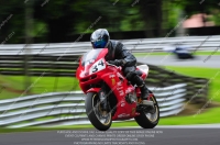 enduro-digital-images;event-digital-images;eventdigitalimages;no-limits-trackdays;oulton-no-limits-trackday;oulton-park-cheshire;oulton-trackday-photographs;peter-wileman-photography;racing-digital-images;trackday-digital-images;trackday-photos