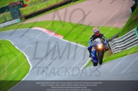 enduro-digital-images;event-digital-images;eventdigitalimages;no-limits-trackdays;oulton-no-limits-trackday;oulton-park-cheshire;oulton-trackday-photographs;peter-wileman-photography;racing-digital-images;trackday-digital-images;trackday-photos